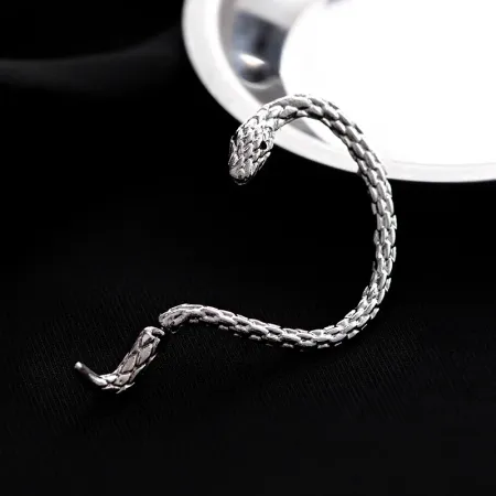Imagen de producto de: Arete Serpiente